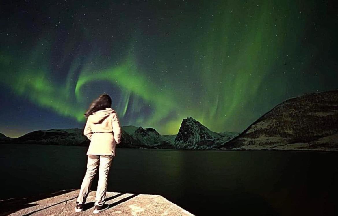 Aparthotel Senja Living Stonglandseidet Exterior foto